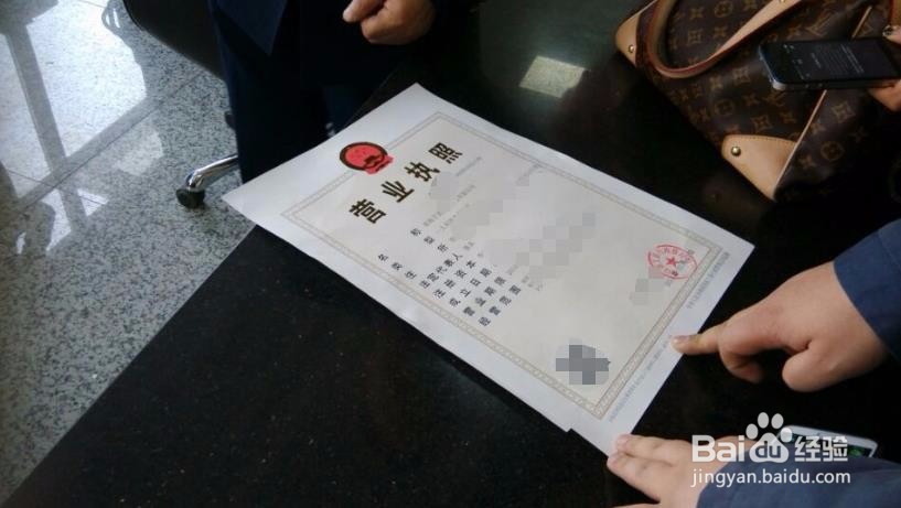 如何查营业执照