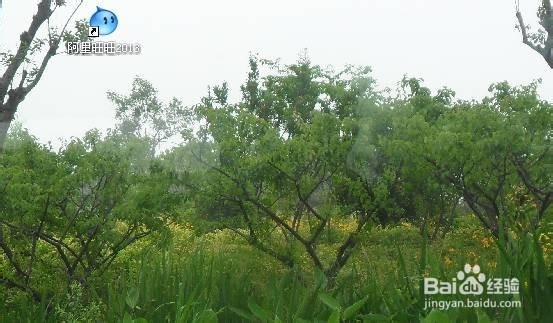 网上购物完毕后怎样评价