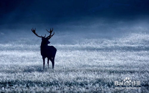 学PS多年，还不知道这40个PS小技巧