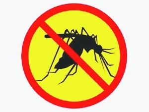 夏季防蚊——给宝宝筑起保护伞