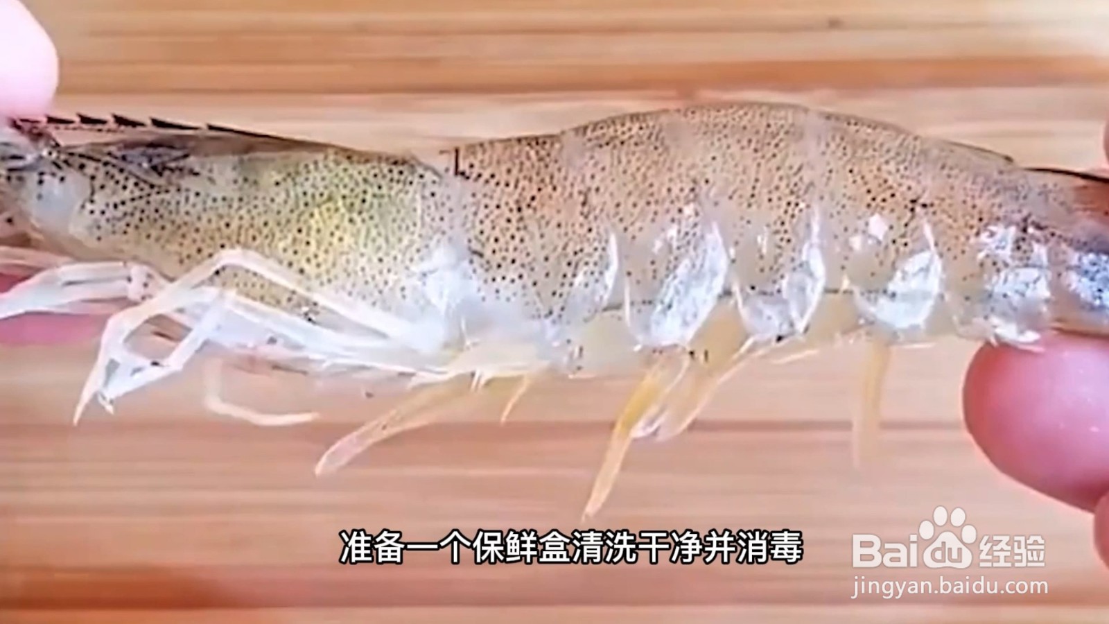 新鲜虾子放冰箱的保存方法