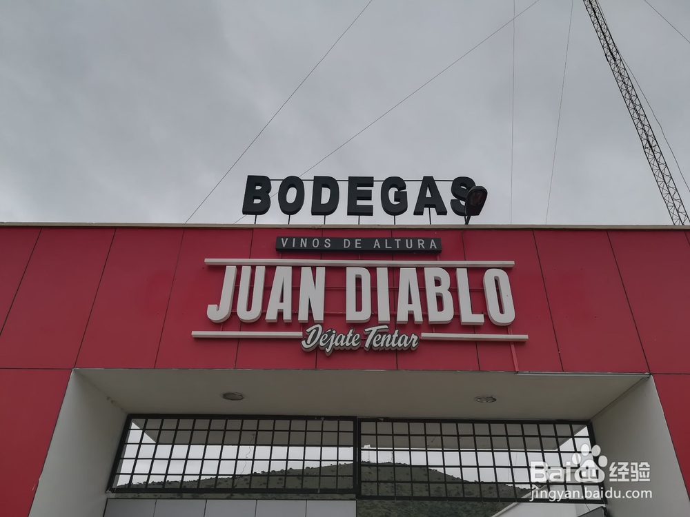 玻利维亚塔里哈市旅游攻略:红酒文化之旅