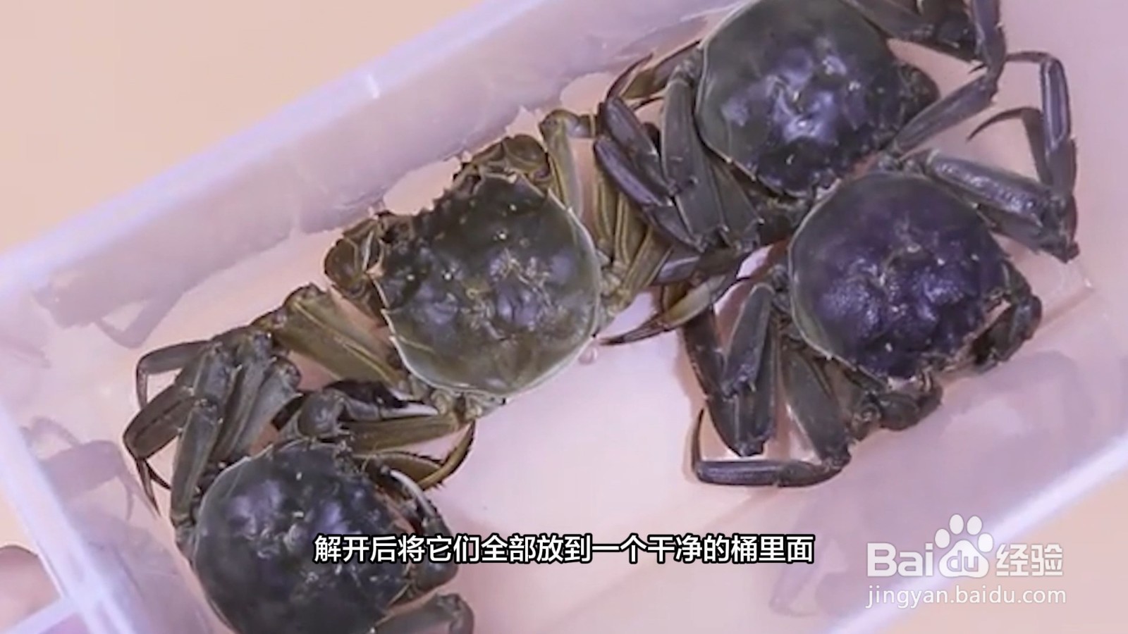 收到的活蟹怎么保存