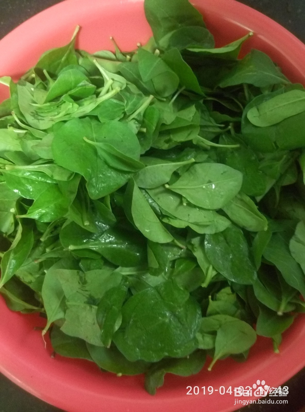 枸杞叶骨头汤的家常做法