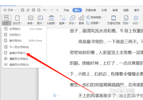 WPS WORD怎样插入连续分节符?