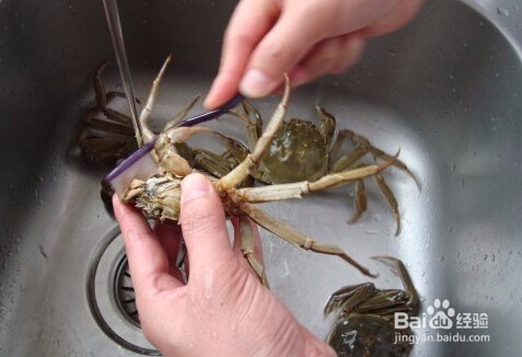 怎么做清蒸原味螃蟹,有哪些步骤呢