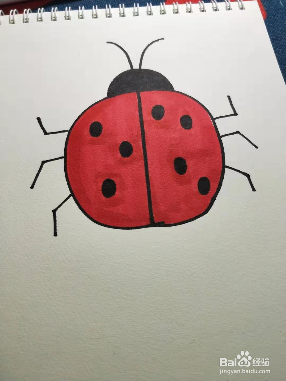 如何画七星瓢虫简笔画