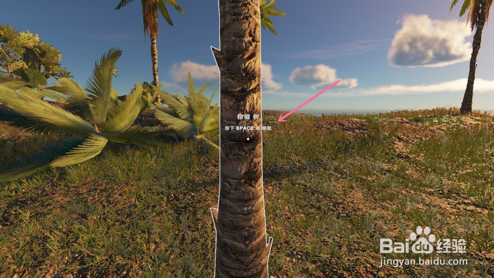 深海搁浅里的椰子有什么吃法？