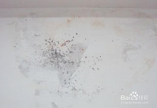 房间墙壁发霉怎么处理