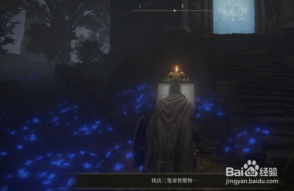 艾尔登法环提斯魔法师塔怎么进