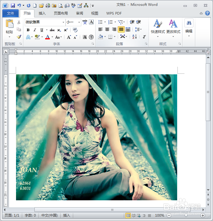 word2010怎么插入图片