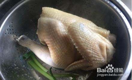 糟香三黄鸡怎么做?
