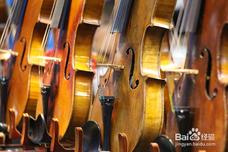 怎样选购提琴