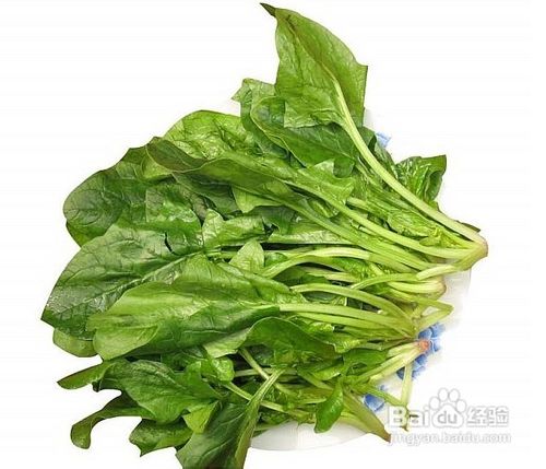 白血病如何进行食疗