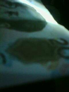 怎样辨别人民币的真假