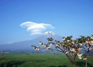 春季出游有哪些注意事项吗