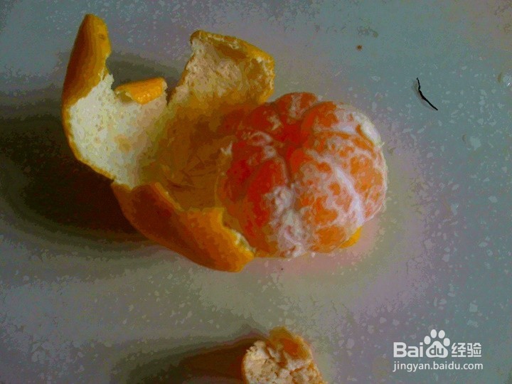 幼儿怎样识水果