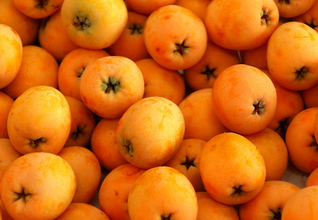 摆脱痘痘的烦恼