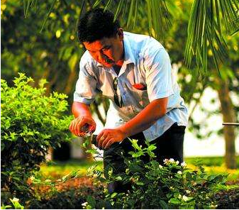 我知道茉莉怕冷，请问茉莉花冬天怎么养