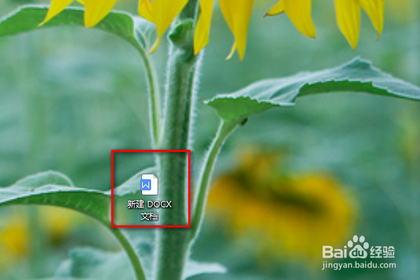 word中怎么给文字加上删除线