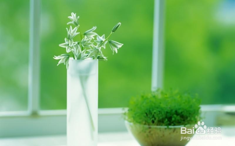 “皮”到底该不该去