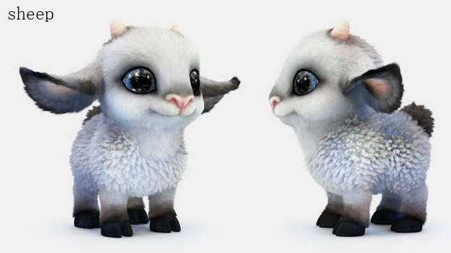sheep的复数是什么