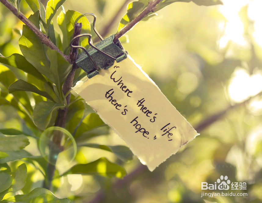 看了《欢乐颂2》,你会明白读书与不读书的区别