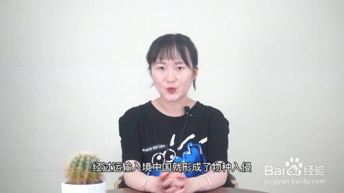 红火蚁怎么来中国的