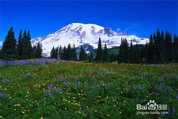 彩云之南旅游攻略—一生必去的旅行(云南必游)