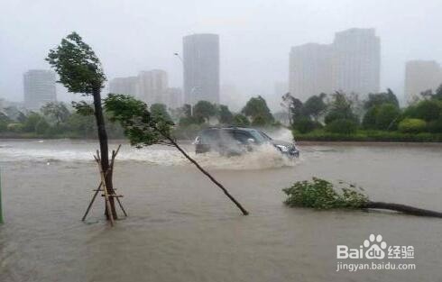 台风来了要注意哪些