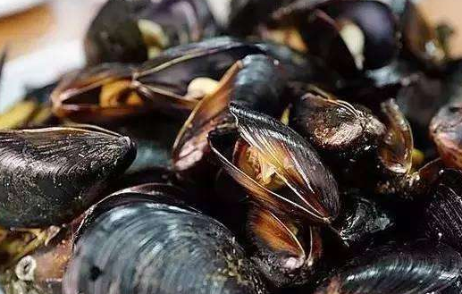 贝类海鲜有哪些