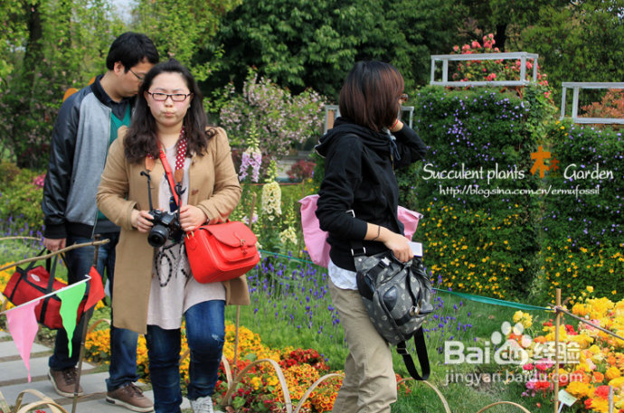 上海植物园（上）