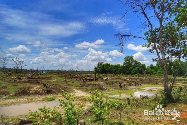涅盘宫，龙蟠水池上的一颗明珠