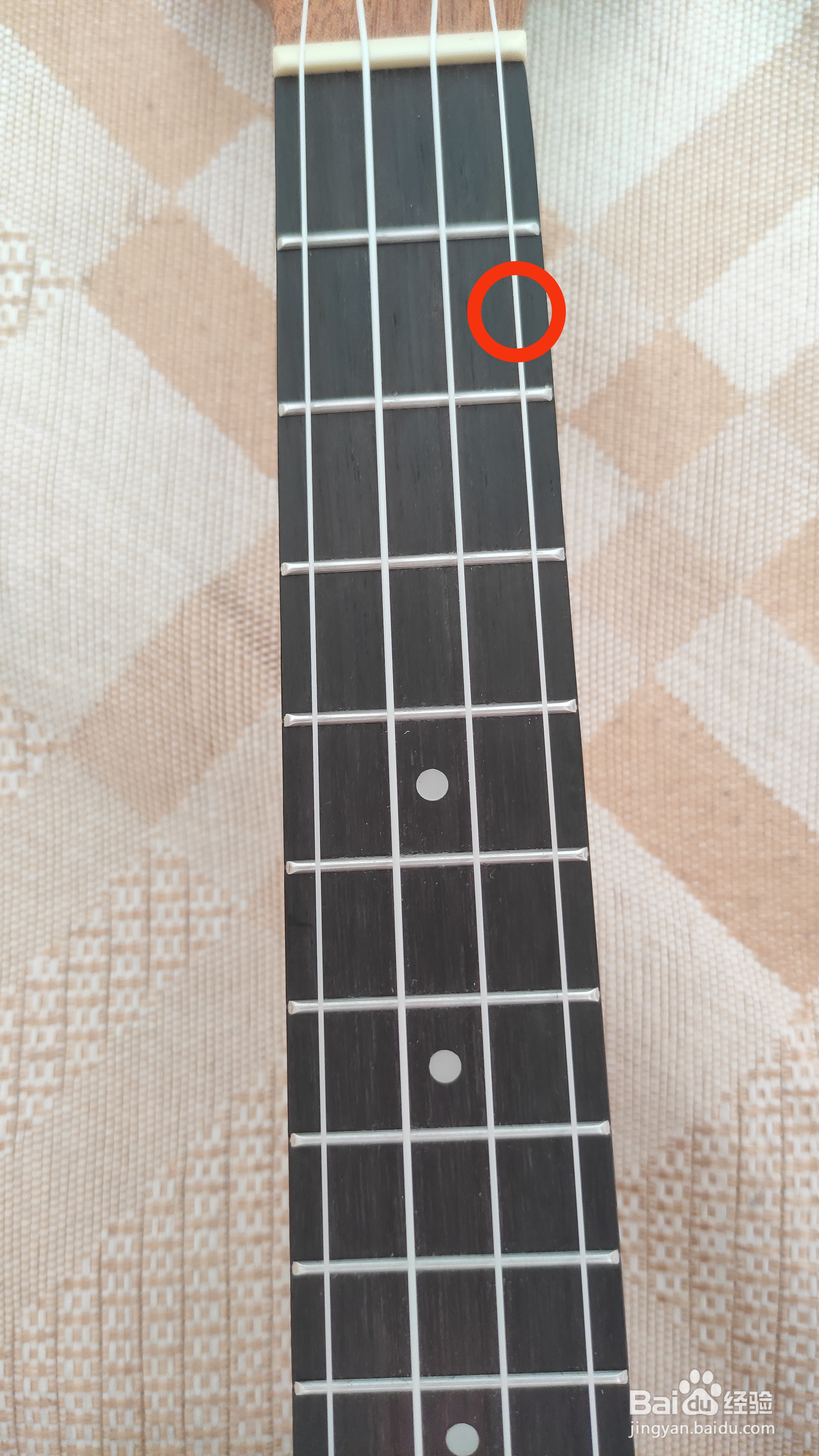 尤克里里e和弦怎么按