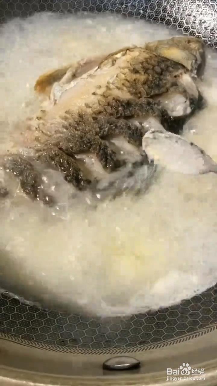 如何制作鲫鱼