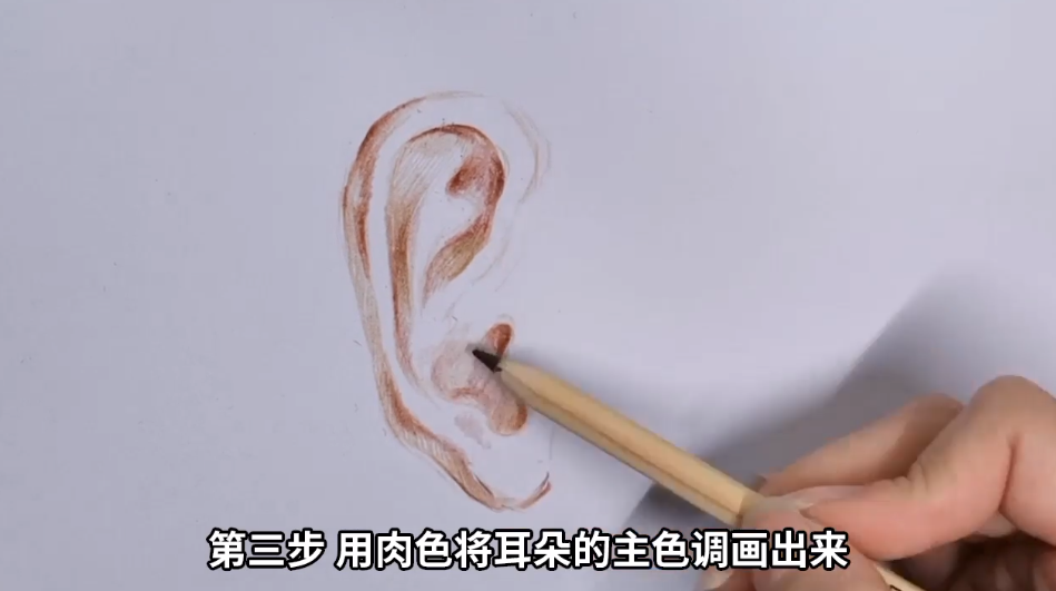 如何用彩铅画耳朵？