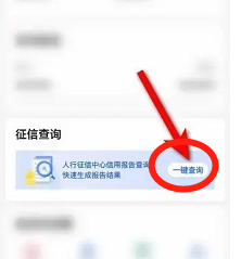 无不良信用记录证明怎么开