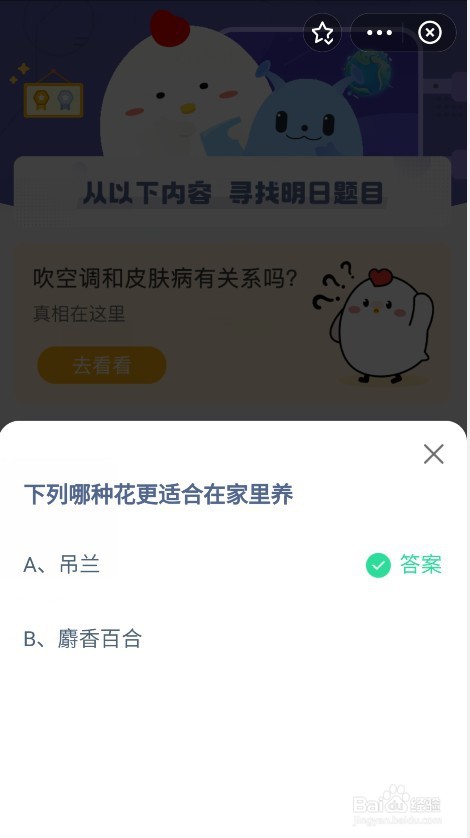 蚂蚁庄园哪种花更适合在家里养
