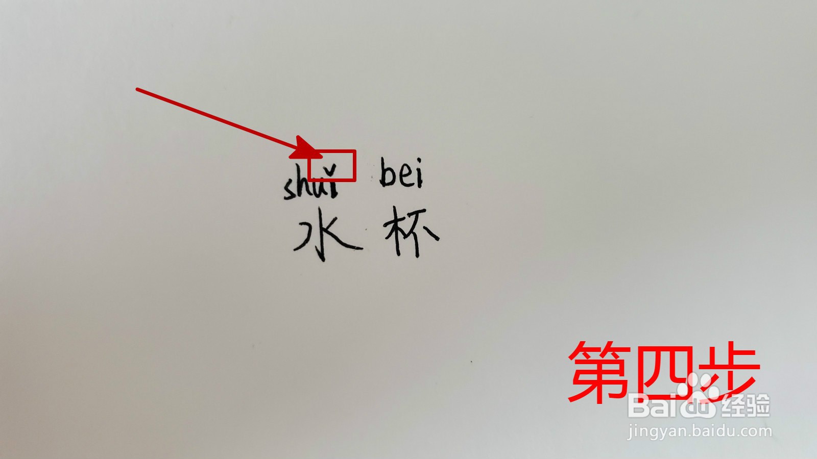 水杯的拼音怎么拼写