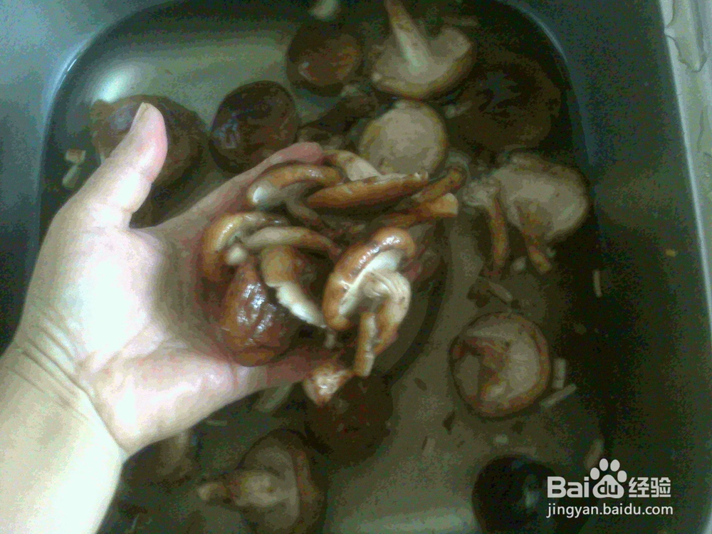 老年人怎样做好素炒香姑的备料