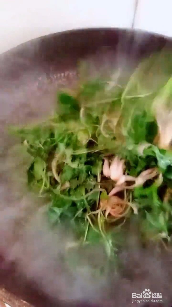 如何自制美味好吃的凉拌蒲公英