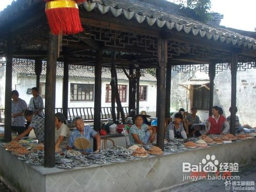 梦里水乡周庄旅游攻略