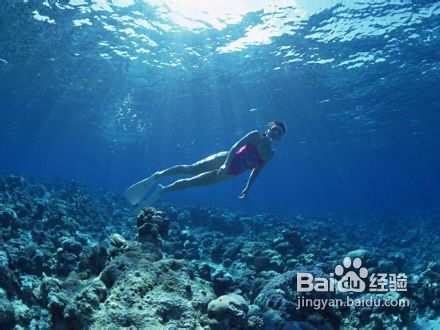 三亚潜水分类