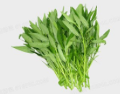 多吃空心菜有什么好处