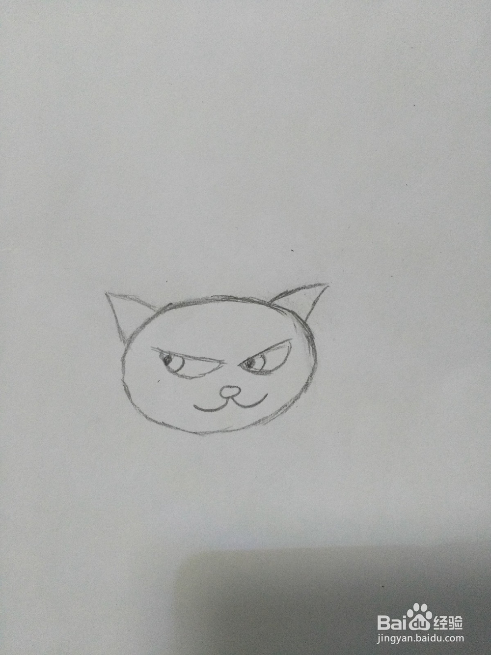 简笔画——可爱小猫咪的画法