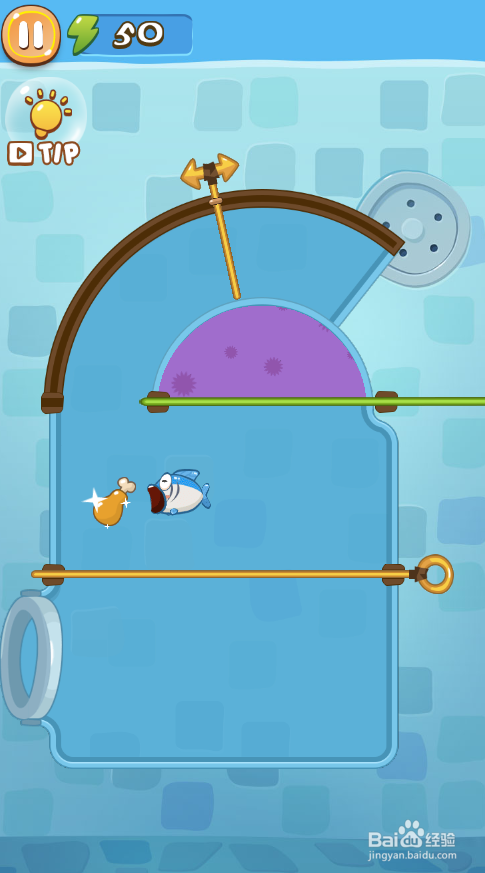A Wise Fish的Level 5如何通关?