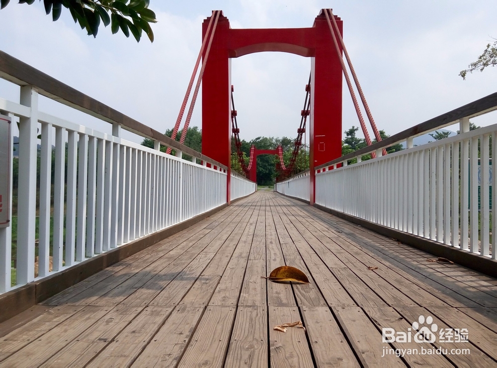 深圳有哪些好玩又免费的地方?