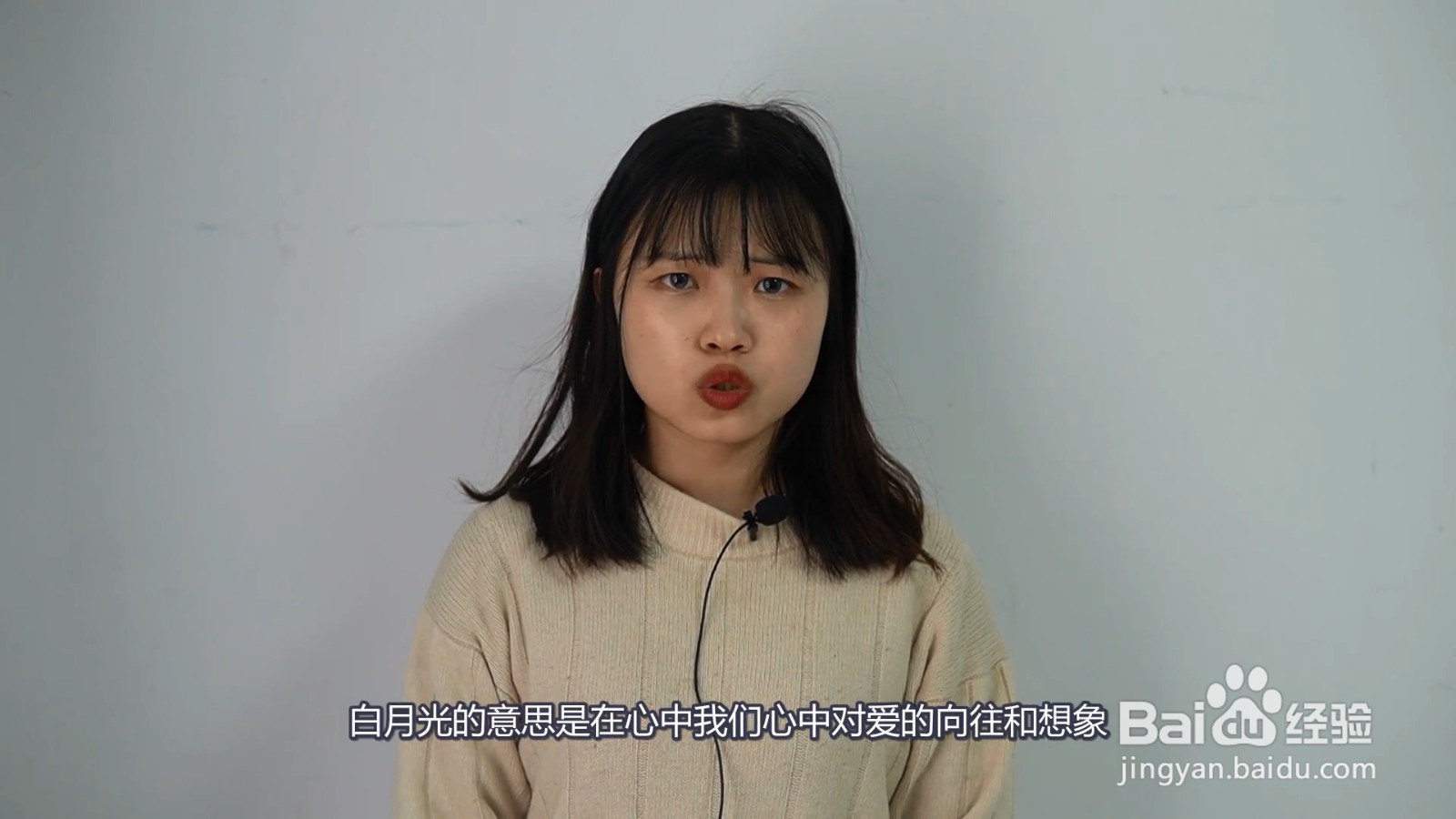 白月光朱砂痣什么意思