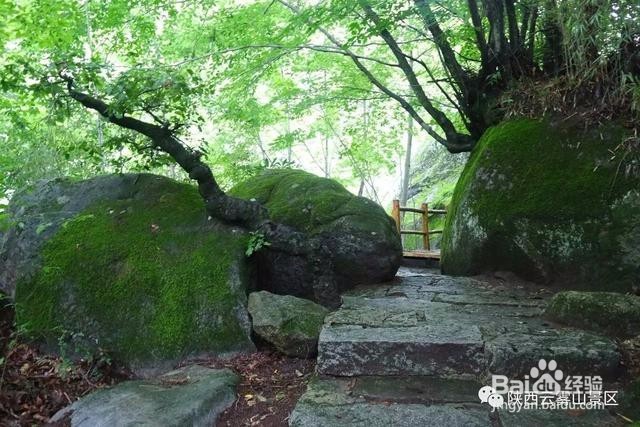 这才是云雾山游玩的正确方式