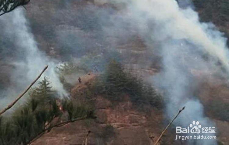 甘肃森林火灾，该怎么办？